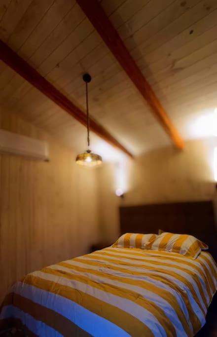 Chalet Refugio Natural En Malalcahuello
